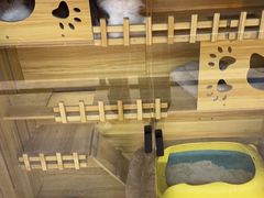 -秦皇岛野生动物园