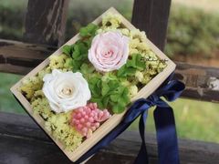 爱心盒子花-容玉花店