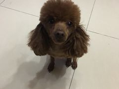 -春雨羊汤店(广开四马路总店)