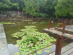 -香山公园