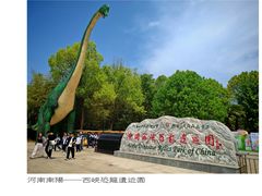 -中国西峡恐龙遗迹园