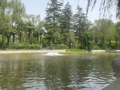 -西安市长乐公园
