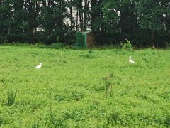 -前小桔亲子创意农场·草莓采摘·露营烧烤