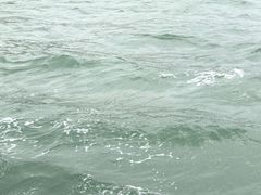 -鼓浪屿内厝澳码头(轮渡站)