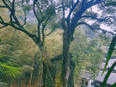 -岳麓山风景名胜区