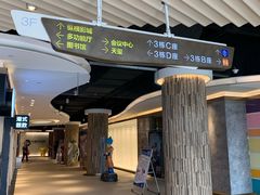 -纵横国际影城杜比全景声巨幕(天安云谷店)