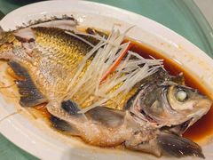 -刘胖子家常菜·蹄花焖藕(江汉路总店)