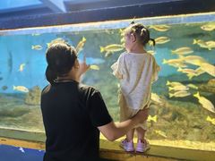 -北戴河圣蓝海洋公园