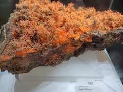 -湖南省地质博物馆