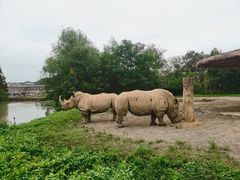 -宁波野生动物园