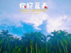 -滴水岩森林公园
