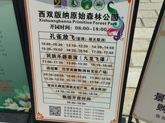 -西双版纳原始森林公园