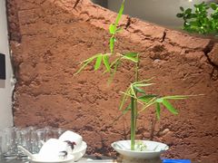 -黄山老妈·土菜(碧桂园店)