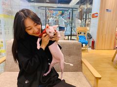 -藏猫猫咖啡主题馆(中央大道店)