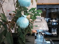 -常识咖啡common sense(春熙路店)