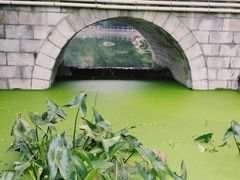 -莲湖公园
