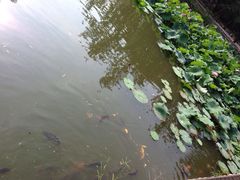 -北京民族园葉子里酒店(鸟巢店)