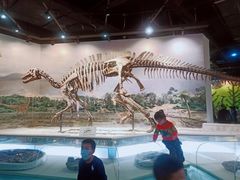 -辽宁古生物博物馆