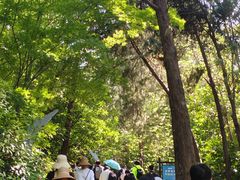 -云龙山