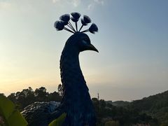 -东莞植物园