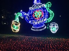 -苏州乐园森林水世界