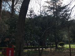 -上海佘山国家森林公园天马山园