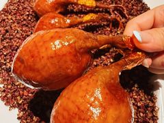 -秀儿四九城·新京菜(亚运村鸟巢店)