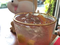 -柴犬高等学院·狗咖·柴犬售卖·宠物训练