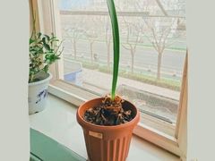 -辣家私厨火锅·龙虾(开发区店)