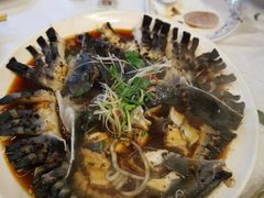 豆豉蒸鲟鱼-京北渔家傲