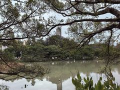 -江心屿景区