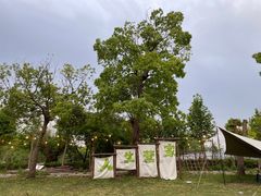 -不觉晓CAMPING(上海迪士尼营地店)