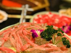 -蜀九香火锅(彩虹店)