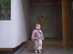 -泡桐树街