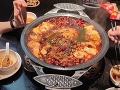 -探鱼·鲜青椒爽麻烤鱼(广州花都来又来店)