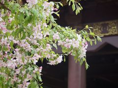 -海棠花溪(元大都城垣遗址公园)
