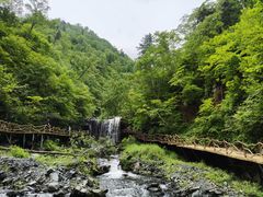 -凤凰山国家森林公园