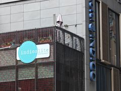 -香港港岛英迪格酒店