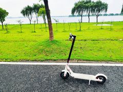 -漕湖湿地公园