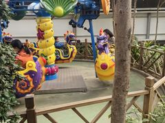 -南宫五洲植物乐园