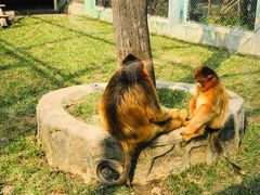 -西安秦岭野生动物园