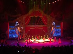 -珠海横琴长隆《卡卡虎奇遇记》