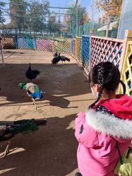 -萌宠亲子动物乐园(槐房万达店)