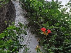 -渭南桃花源民俗文化园