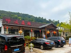 -呼吸森林·生态农庄农家乐私房菜