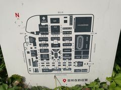-中央民族大学