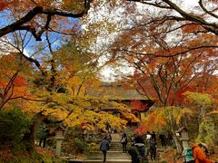 -常寂光寺