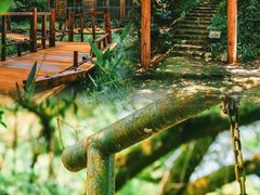 -广州市石门国家森林公园