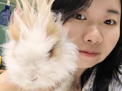 -雨林宠物医院 非犬猫异宠专科