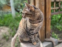 -龙华寺